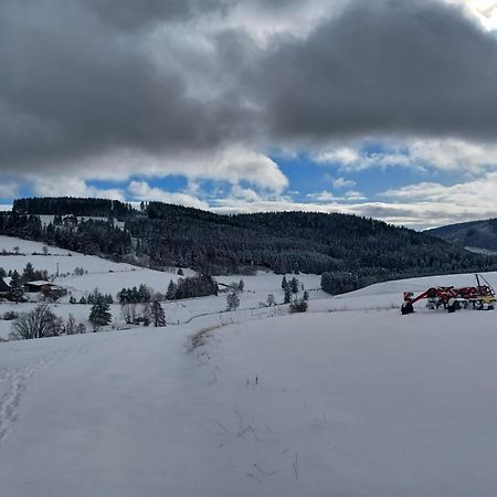 Schwarzwaldstube Apartment Titisee-Neustadt Exterior foto